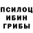 Псилоцибиновые грибы прущие грибы Weyd Fout