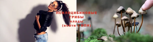 дмт Алексеевка